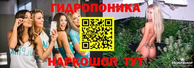 ешки Боровичи