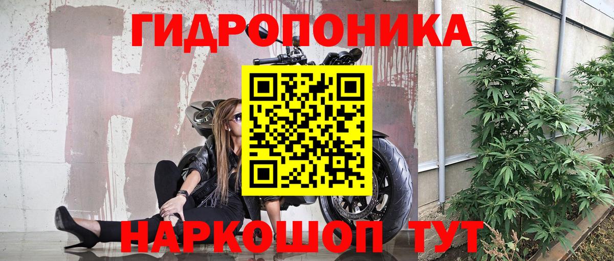 Шишки марихуана AK-47  Вход с VPN  Конопля гибрид  Выборг 